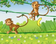 Addicted monkey majmos játékok