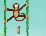 Jungle spider monkey online majmos játék