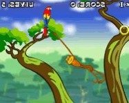 Spider monkey online majmos játék